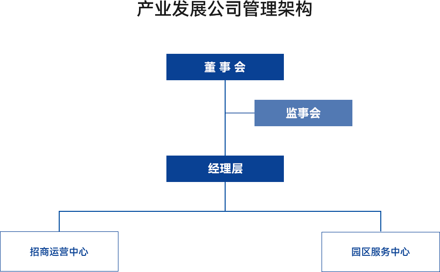 产业发展公司管理架构